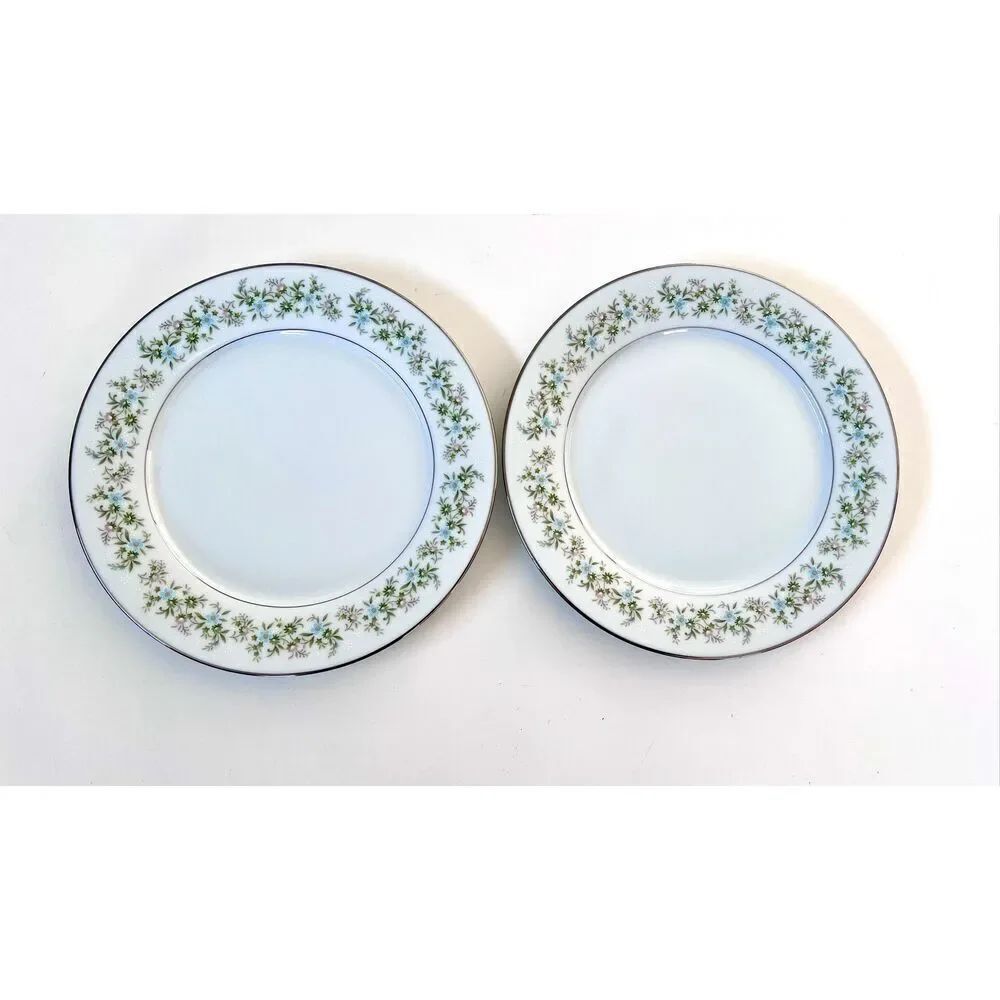 Noritake Savannah Dinner Plates 10-1/2" Set of 2